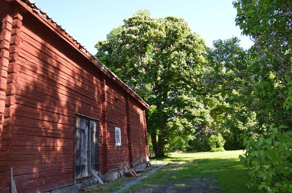 garaże drewniane